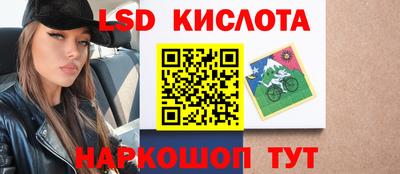 кокс Донской